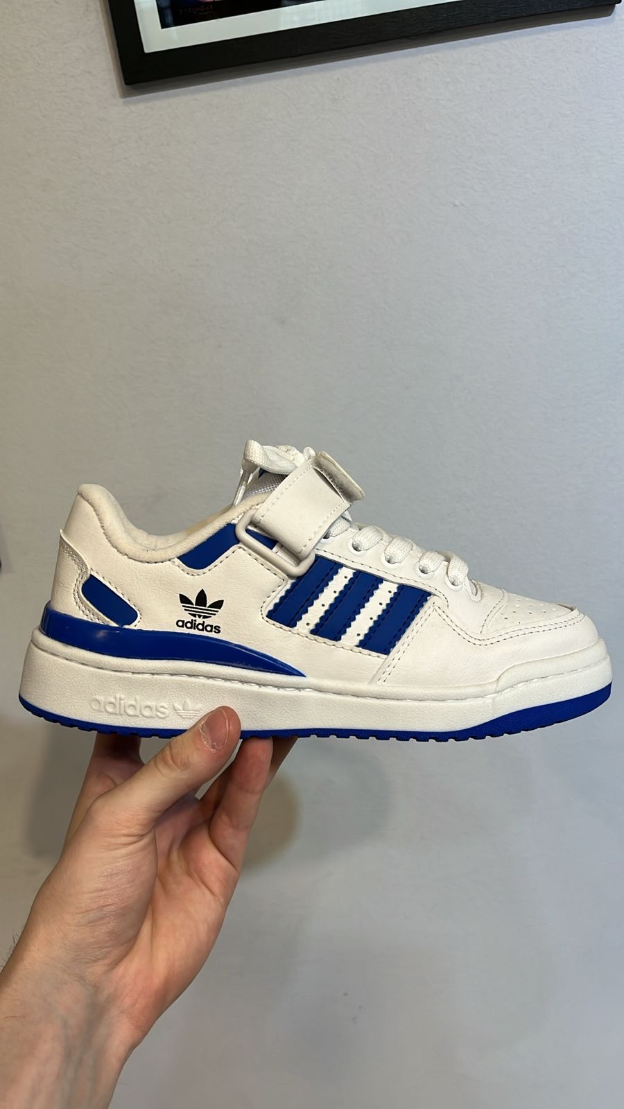 FORUM AZUL CON ABROJO