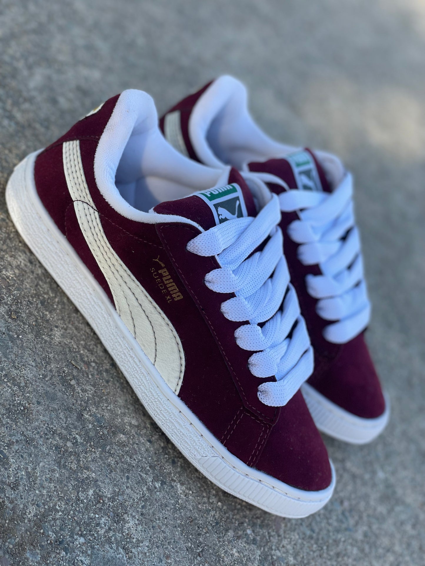 PUMA BORDO